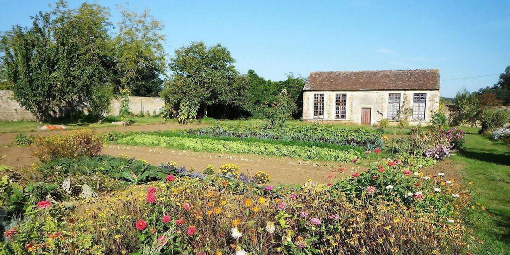 Chateau De Cheronne Bed and Breakfast Tuffé Exteriör bild